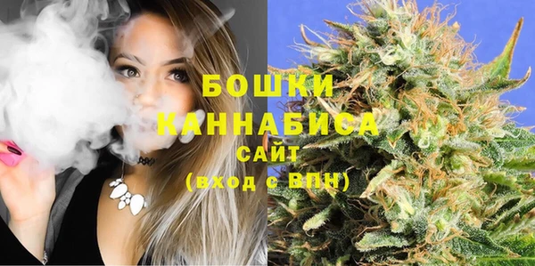 прущие грибы Бугульма