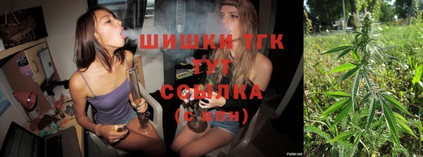 прущие грибы Бугульма