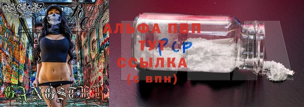 ПСИЛОЦИБИНОВЫЕ ГРИБЫ Бронницы