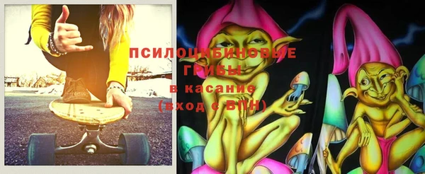 соль курить ск Бородино