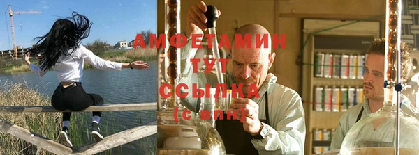 прущие грибы Бугульма