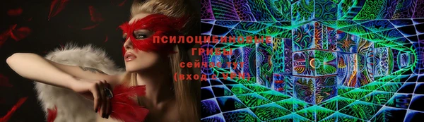 ПСИЛОЦИБИНОВЫЕ ГРИБЫ Бронницы